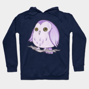 Nova the Owl Hoodie